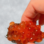 Best Ikura in Queens, NY